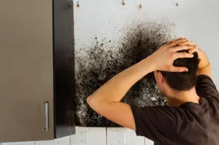 Mould, Damp, and Mental Health: The Hidden Toll of Poor Housing