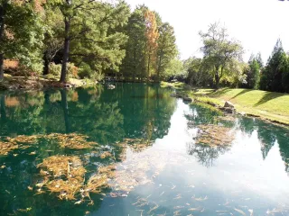 Best Hidden Gems in Richmond, VA You Need to Visit