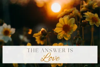 The Answer is Love