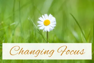Changing Focus