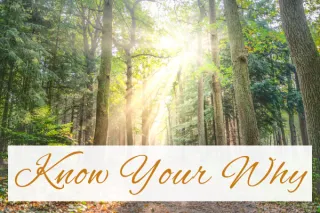 Know Your Why