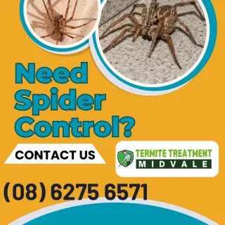 Spider & Web Control
