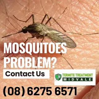 Are You A Mosquito Magnet?