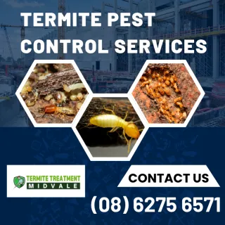 Termite Pest Control Services