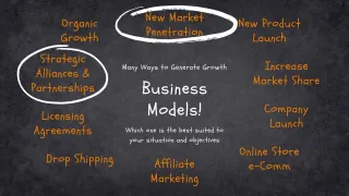 Which Business Model is the Best Fit for You?