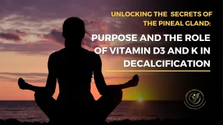 Unlocking the  Secrets of the Pineal Gland: Purpose and the Role of Vitamin D3 and K in Decalcification