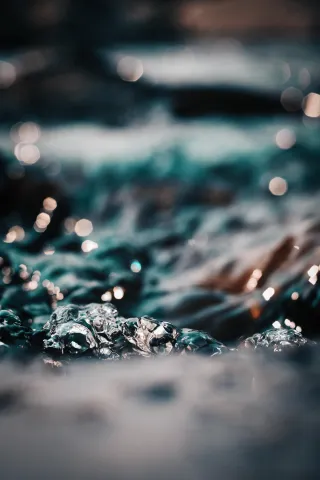 Strategies for Conserving Water in Clermont, Florida's Drought-Prone Landscape