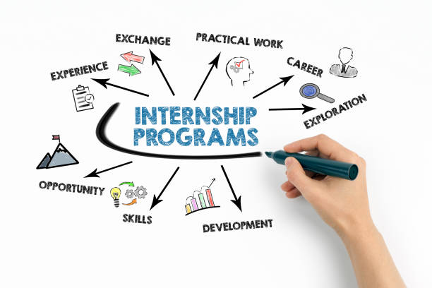 Hordanso Digital Internship Program Costing $10 Per Course: Affordable Career Boost