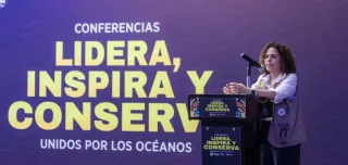 Coordina Veracruz jornada ambiental orientada a la conservación marina