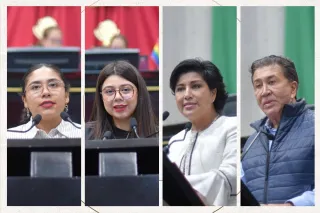 Deudores alimentarios no podrán acceder a cargos en el servicio público