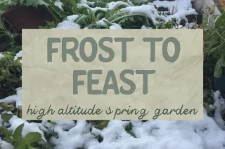 From Frost to Feast: Your Guide to Spring Gardening in the Mountains