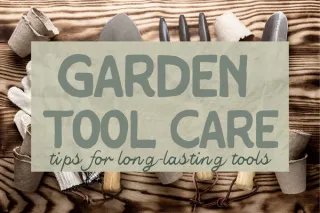Keep Your Garden Tools Sharp: A Guide to Proper Care and Storage