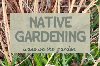 Waking Up with the Garden: Spring To-Dos for Native Plant Success
