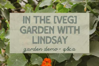 In the Garden with Lindsay Summer Schedule