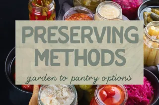 🥫 Preserving Methods: Class