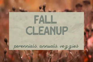 🍂 Fall Cleanup: Class
