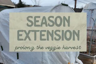🥕 Extending the Veggie Season: Class
