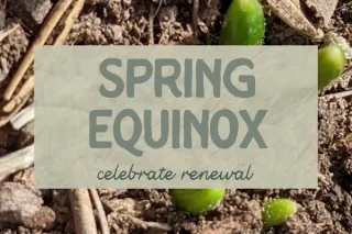 Celebrate the Season: Spring Equinox at Wiggle Worm Gardens