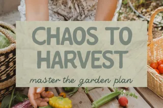 From Chaos to Harvest: Mastering Your Vegetable Garden Plan