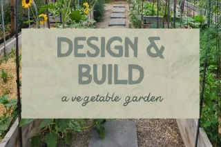 Garden Design & Build β Veg