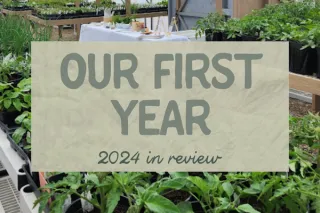 Growing Together: Celebrating Wiggle Worm Gardens’ First Year