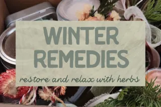 Winter Herbal Remedies: Relax and Restore After the Holidays