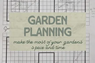 Garden Planning – Veggies