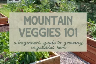 Veggie Gardening in the Mountains