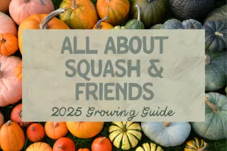 All About Squash: Grow Abundant Vines in Mountain Gardens