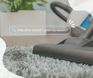 How Often Should You Clean Your Carpets? A Guide for Homeowners | New Way Carpet Cleaning & Restoration