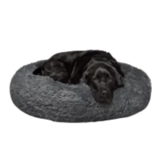 What is the Right Bed for  Your Dog