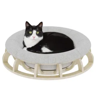 8 Benefits of Choosing the Right Bed for Your Pet