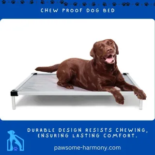 Chew Proof Dog Bed