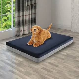 Thick Memory Foam Dog Bed (L)