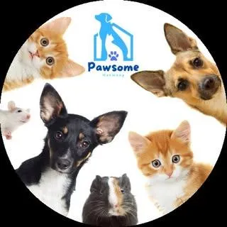 pets