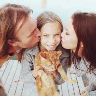 The Ultimate Cat Travel Guide: Stress-Free Trips with Your Cat