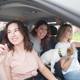 Why Pets Make Better Mental Health Allies Than Smartphones