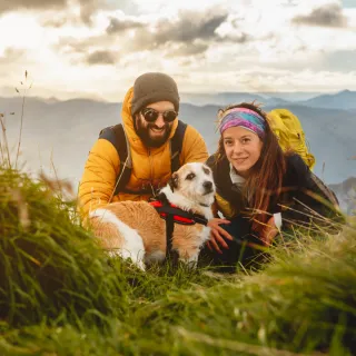 Vet-Approved Tips for Long-Distance Travel with Pets