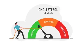 The Influence of Cholesterol Levels