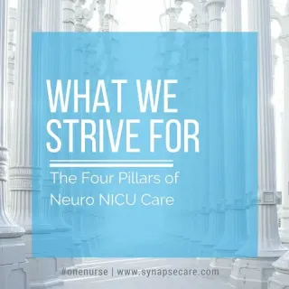 What We Strive For : The 4 Pillars of NeuroNICU Care