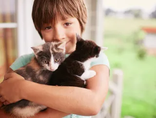 Adopting a Shelter Cat