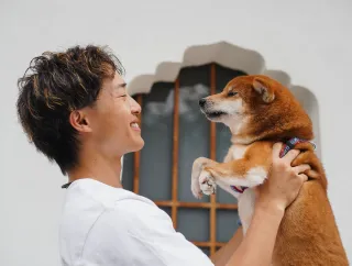 May is National Pet Foster Care Month