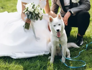 The I Do’s and Don’ts of Dogs in Weddings