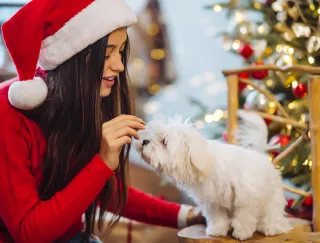 Life with Your New Christmas Pet