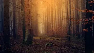 Simplifying Soul is specifically designed for YOU