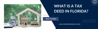 What Is A Tax Deed In Florida?