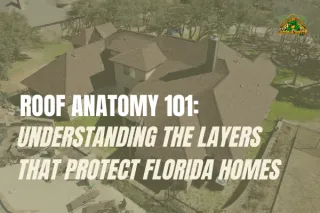 Roof Anatomy 101: Understanding the Layers That Protect Florida Homes