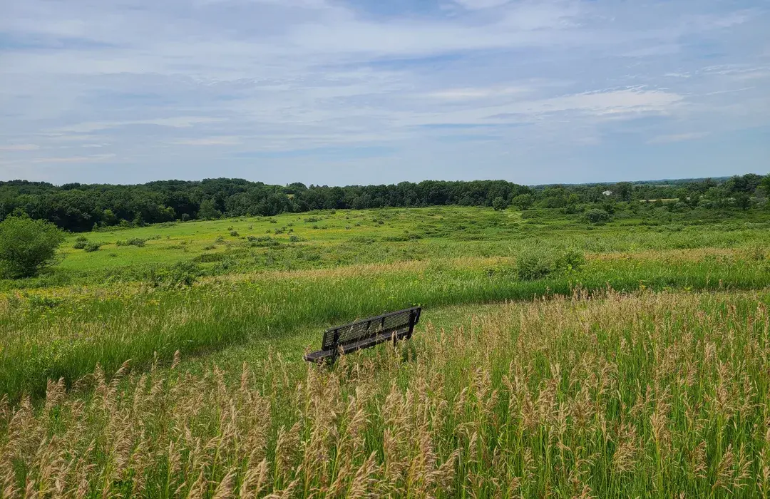 🌲Lake Days & Chill Trails: Why Gibbs Lake Park Is Janesville’s Hidden Nature Paradise You Gotta Experience 