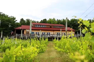 🍷 Sip Happens: A Road Trip Worth Every Drop at Sandhill Crane Vineyards