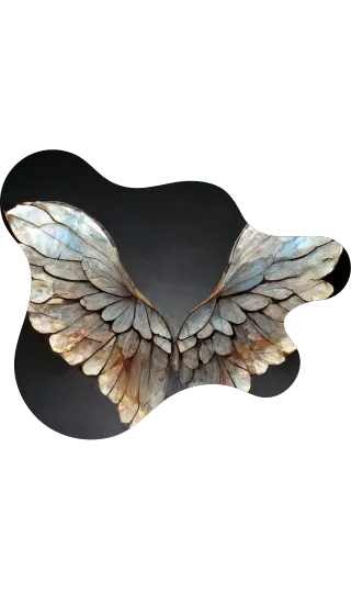 FAQ image